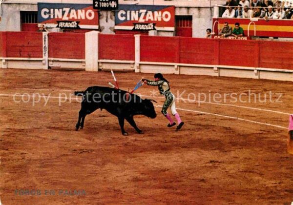 Stierkampf Toros en Palma