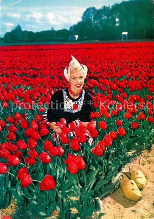 Trachten Holland Tulpen Zwiebelfelder