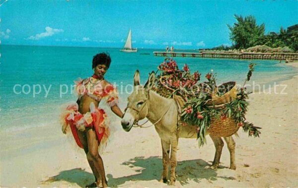 Jamaica Beach One of the stars of the native floor sh