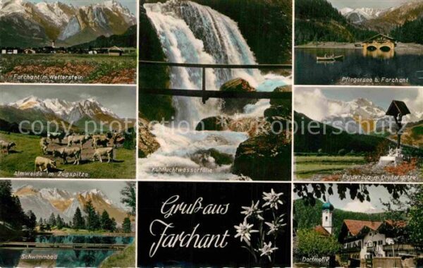 Farchant mit Wetterstein Almweide Zugspitze Kuhf
