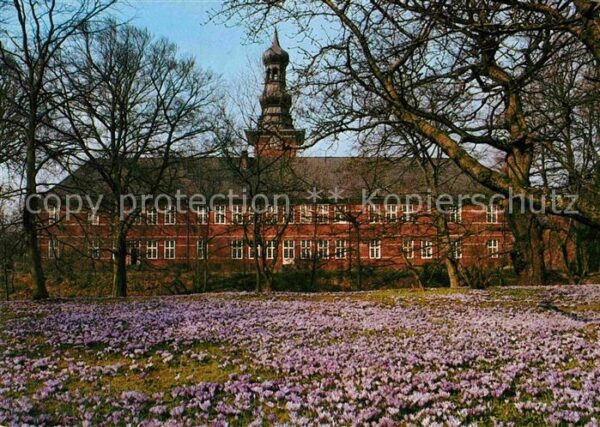 Husum Nordfriesland Krokusblüte im Husumer Schlosspark