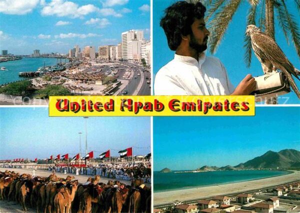 Vereinigte Arabische Emirate Panorama Falkner Kamelreiten Strand