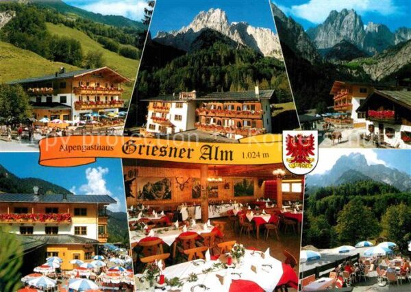 Tirol Region Alpengasthaus Griesner Alm mit Wildem K