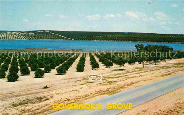 Florida US-State Governors Orange Grove