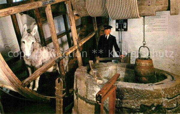 Carisbrooke Isle of Wight Donkey in the Wheel Castel