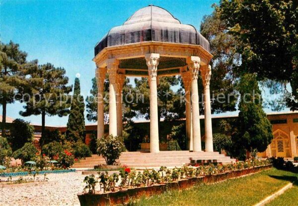 Shiraz Hafezieh