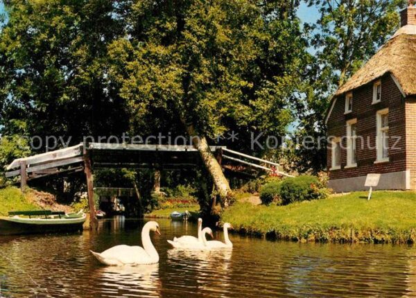 Giethoorn Schwäne Haus am Wasser
