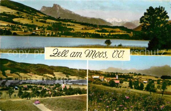 Zell Moos Panorama