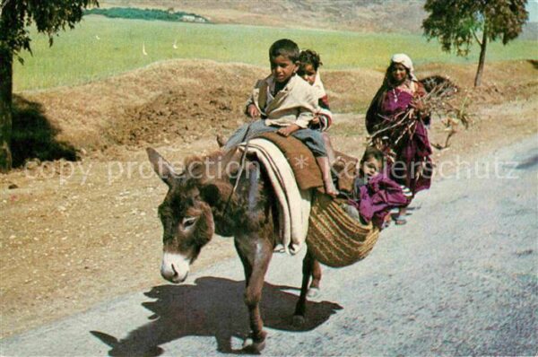 Kairouan Qairawan Eselritt auf der Strasse nach Kairouan