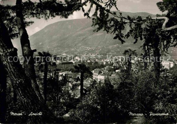 Meran Merano Panorama