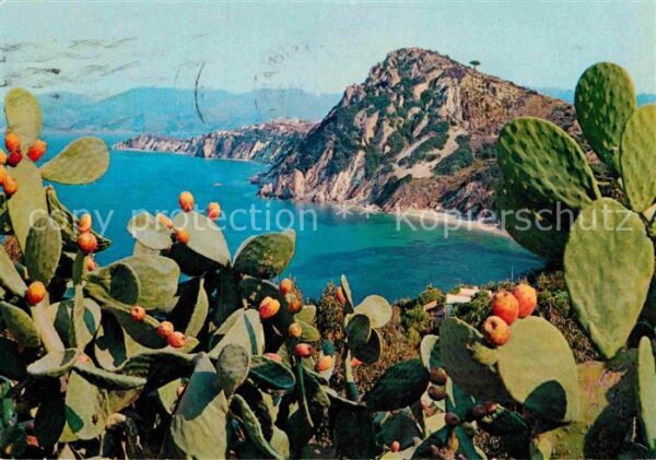 Insel Elba Golfo di Seccione e Monte Bello
