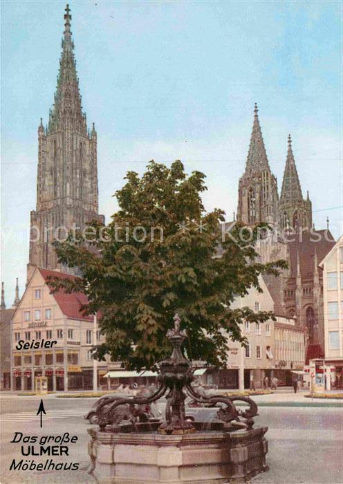 Ulm Donau Delphinbrunnen mit Münster