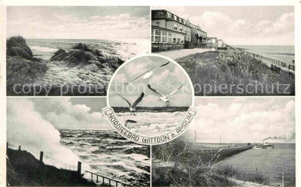Wittduen Amrum Dünen Strand Promenade Seebrücke Möwen