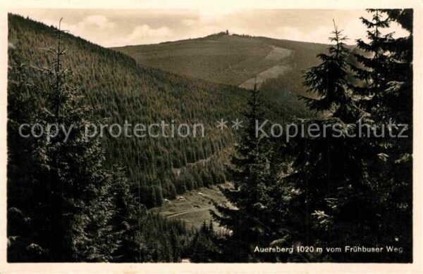 Auersberg Wildenthal Panorama Blick vom Frühbuser Weg