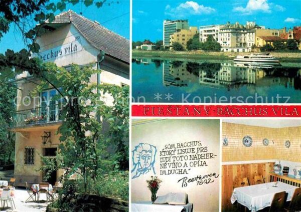 Piestany Bacchus Vila
