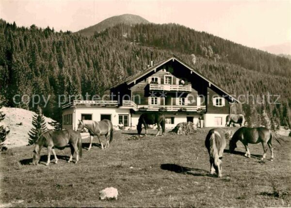 Winklmoos Winkelmoos Augustiner Alm mit Dürnbachhorn