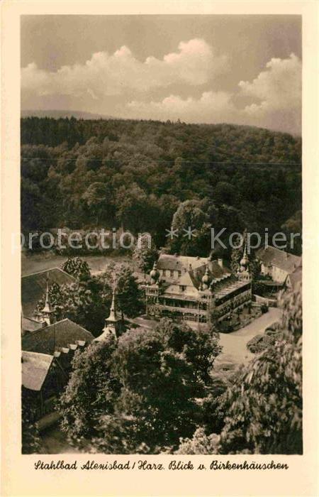 Alexisbad Harz Fliegeraufnahme Blick vom Birkenhäusche