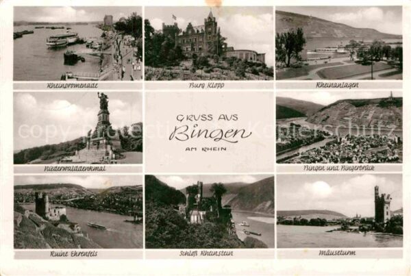 Bingen Rhein Burg Klopp Mäuseturm Ehrenfels Rheinste