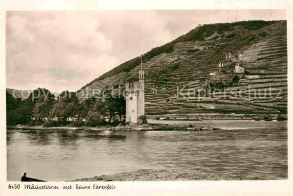 Maeuseturm Ruine Ehrenfels
