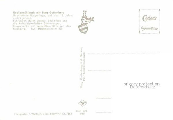 Neckarmuehlbach Burg Guttenberg Fliegeraufnahme – Bild 2