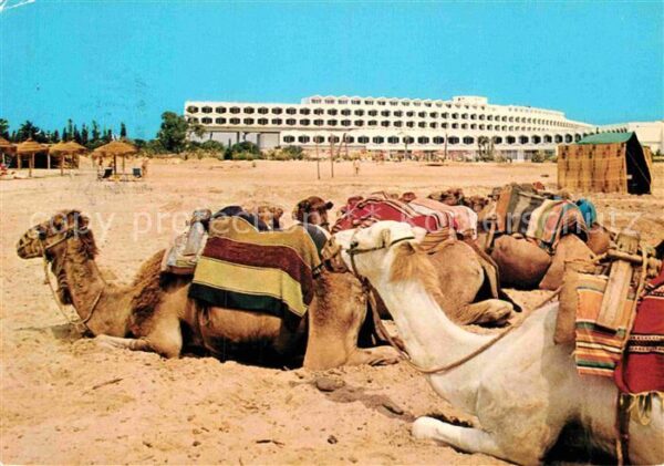 Hammamet Hotel Phenicia