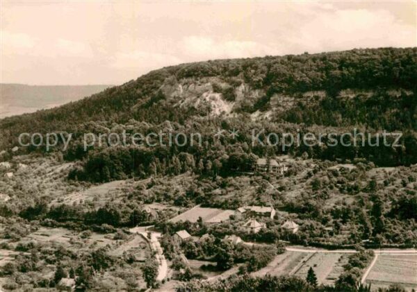 Bleicherode Vogelbergklippen Waldschlösschen