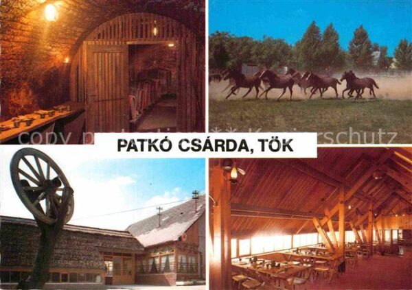 Toek Ungarn Patko Csarda