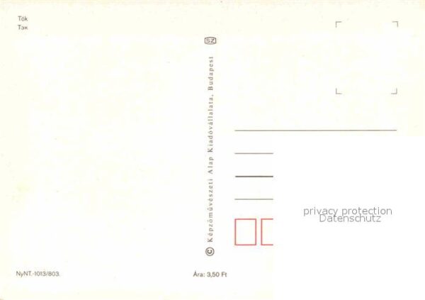 Toek Ungarn Patko Csarda – Bild 2