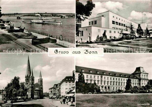 Bonn Rhein Rheinpromenade Münster Universität Bund