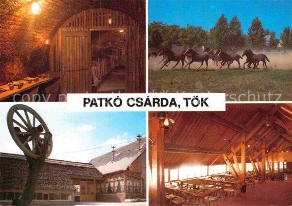toek ungarn Patko Csarda