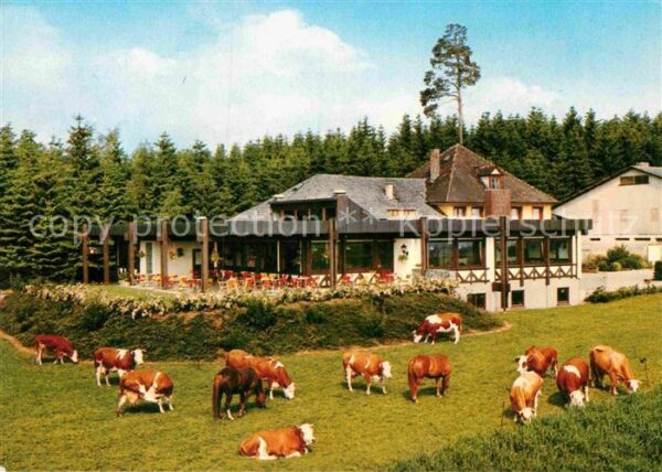 Bad Duerrheim WaldCafe