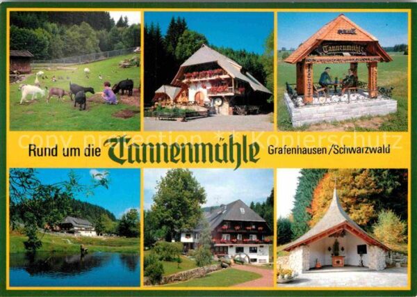 Grafenhausen Schwarzwald Schwarzwaldgasthof Tannenmühle
