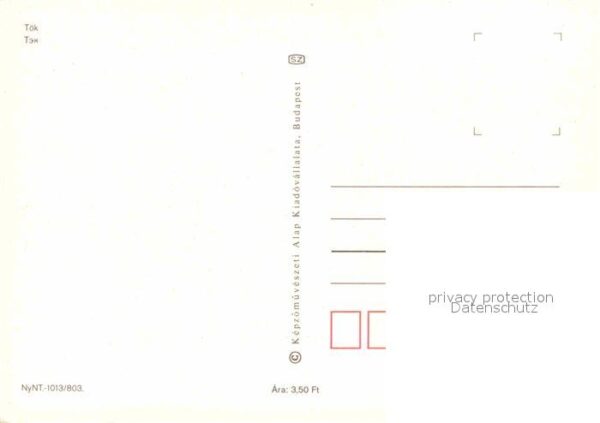 Toek Ungarn Patko Csarda – Bild 2