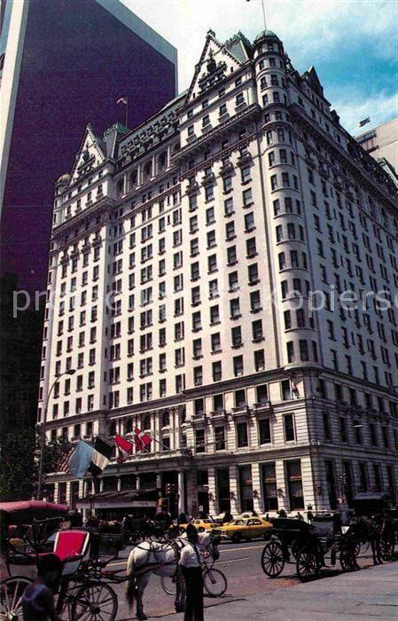 New York City Plaza Hotel Pferdedroschken