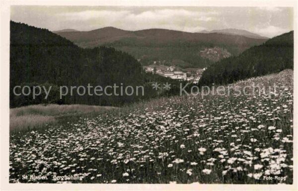 St Blasien Bergfrühling im Schwarzwald