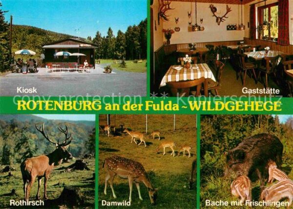 Rotenburg Fulda Wildgehege Kiosk Gaststätte Rothirsch D