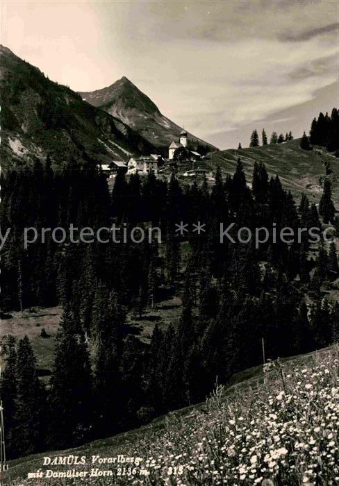 Damuels Vorarlberg Panorama mit Damülser Horn Bergwiese
