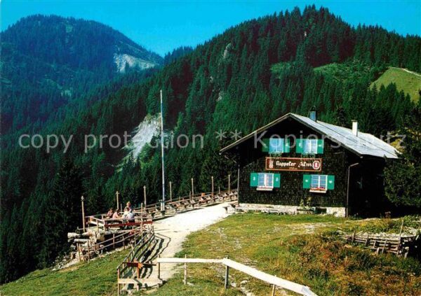 Nesselwang Kappeler Alp Allgäuer Alpen