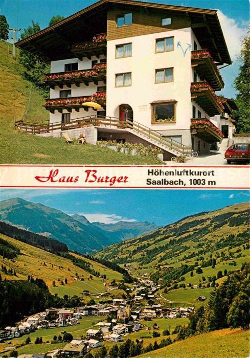 Saalbach-Hinterglemm Pension Burger Landschaftspanorama Alpe