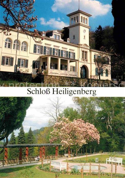 Seeheim-Jugenheim Schloss Heiligenberg Hofanlage Baumblüt