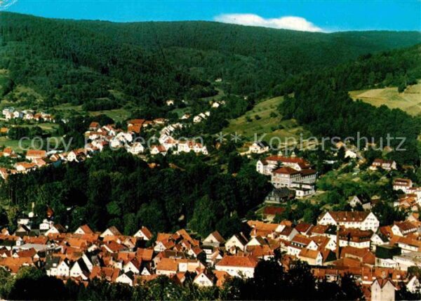 Bad Orb Teilansicht Kurort mit Blick ins Haselt