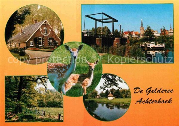 Achterhoek Gelderland Teilansichten Waldpartie Rehe