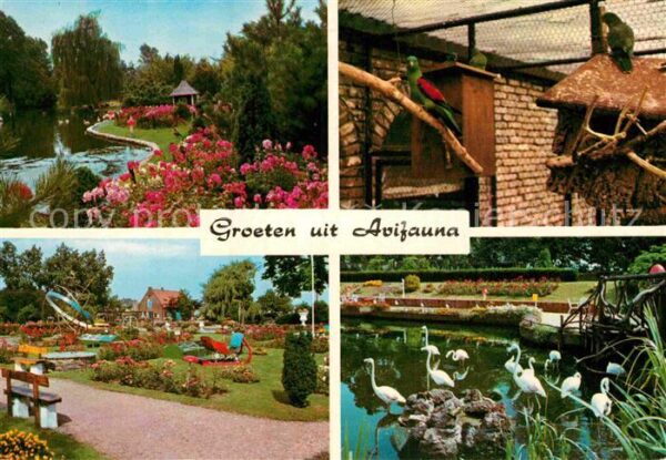 Alphen Aan Den Rijn Intern Vogelpark Avifauna