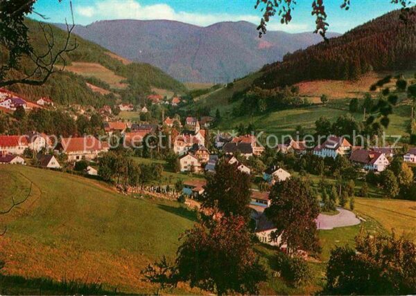 Oberprechtal Panorama Schwarzwald