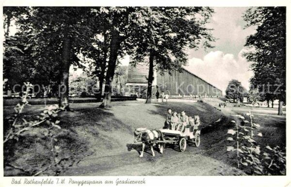 Pferde Ponygespann Gradierwerk Bad Rothenfelde