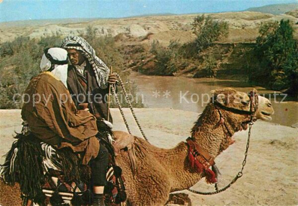 Kamel  Camel Chameau Jordan River