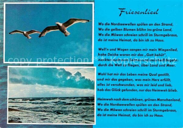Liederkarte Friesenlied Möwen