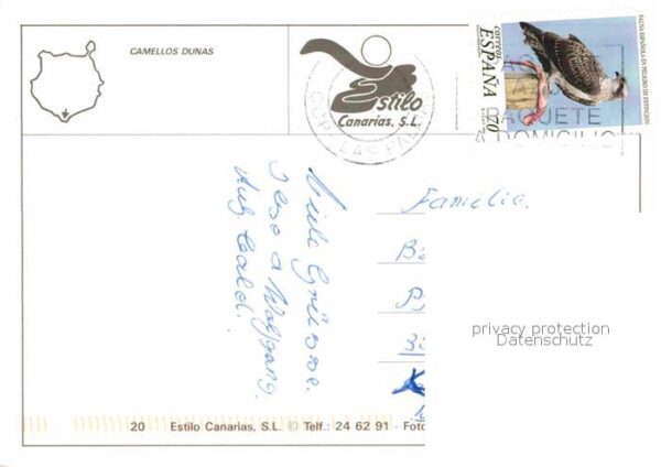 Kamel  Camel Chameau Gran Canaria Camellos Dunas – Bild 2