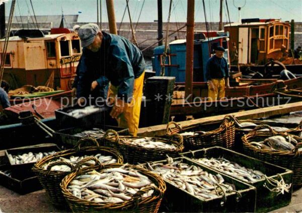 Fischerei Peche en Bretagne Tri du Poisson