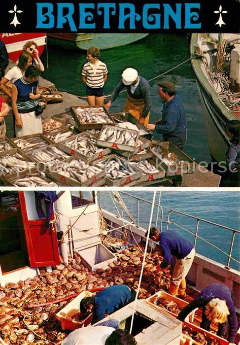 Fischerei Arrivage de Peche Bretagne